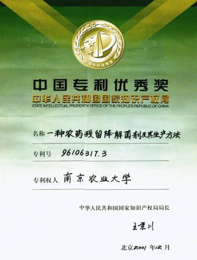中国专利优秀奖