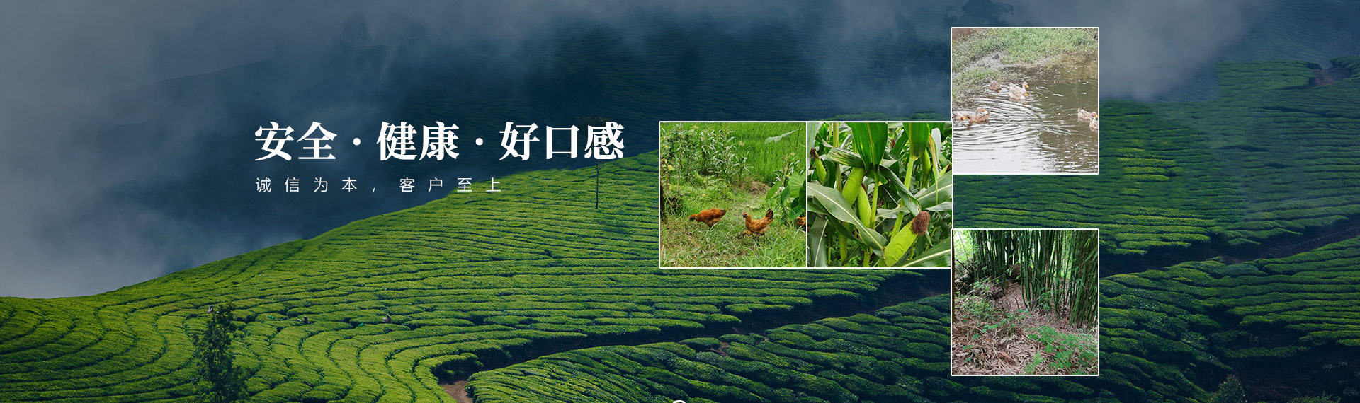 通栏图片